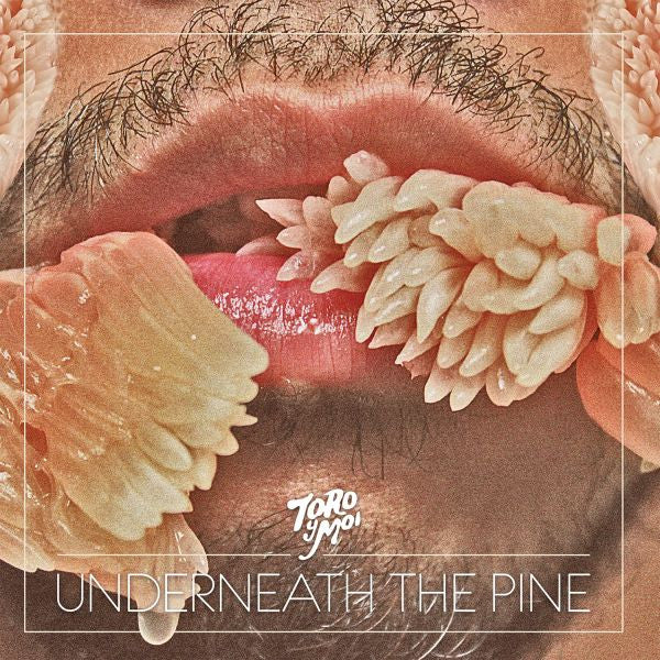 Toro y Moi - 'Underneath The Pine' LP