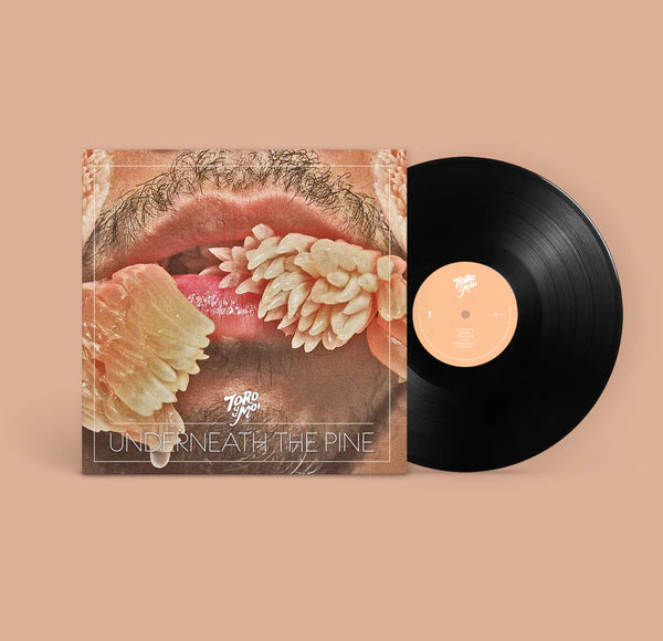 Toro y Moi - 'Underneath The Pine' LP